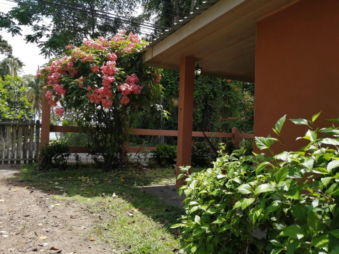 Cahuita Lodge Ngoại thất bức ảnh